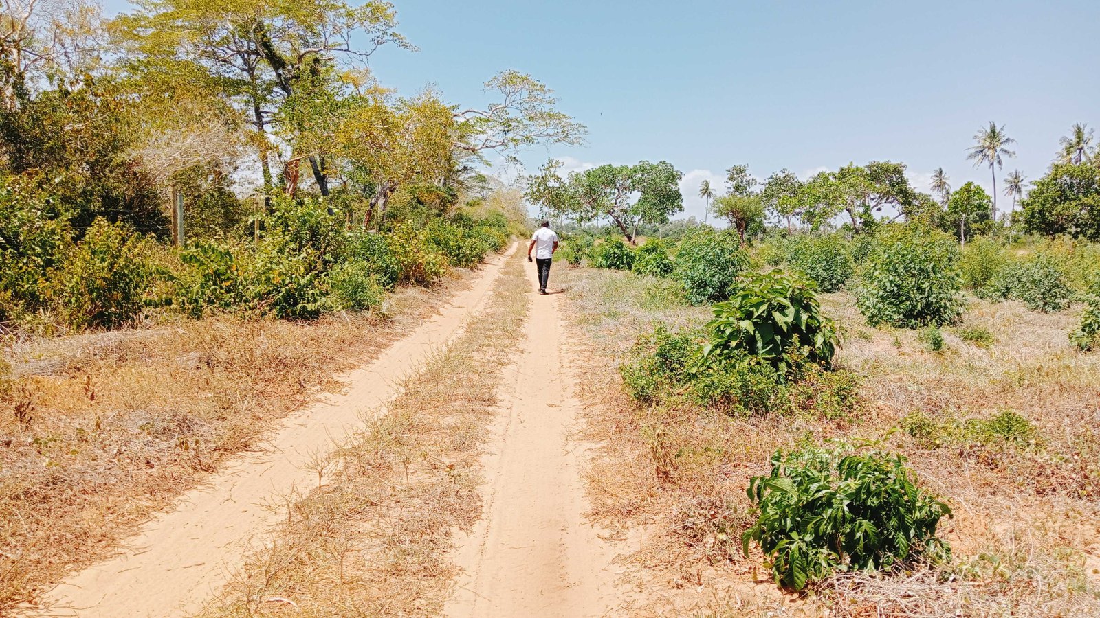 Gredico_Magarini_Picture_2